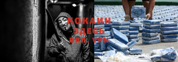 дмт Белокуриха