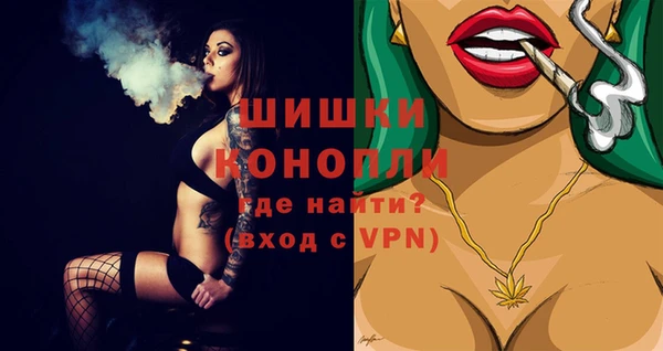 spice Богданович