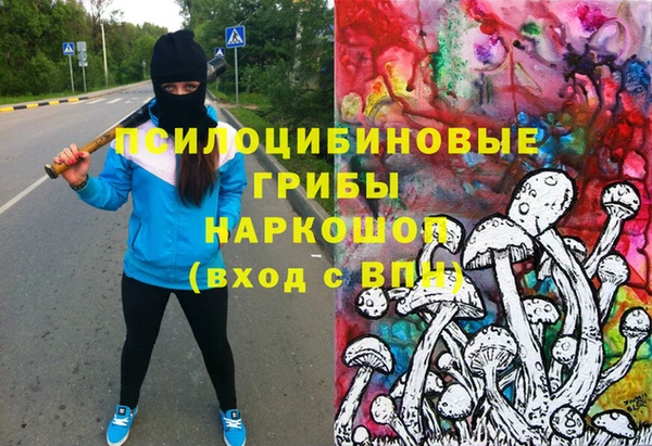 дмт Белокуриха