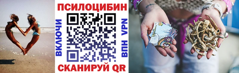 Псилоцибиновые грибы Psilocybine cubensis  Минусинск 