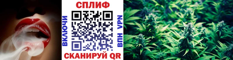 закладки  Минусинск  Шишки марихуана сатива 